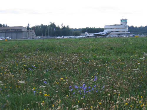 Photo: Ilkka Lyytikäinen